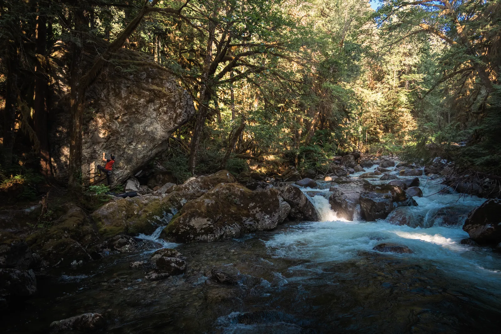 Climber ascending a multi-pitch trad route above Squamish forest canopy